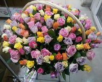 Купить классные розы в СПб на складе.